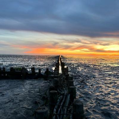 Friedrichskoog